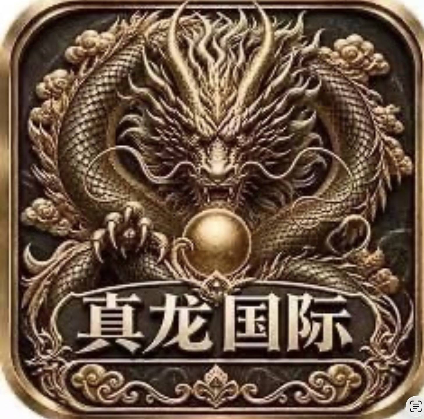 真龙国际（十月新平台）